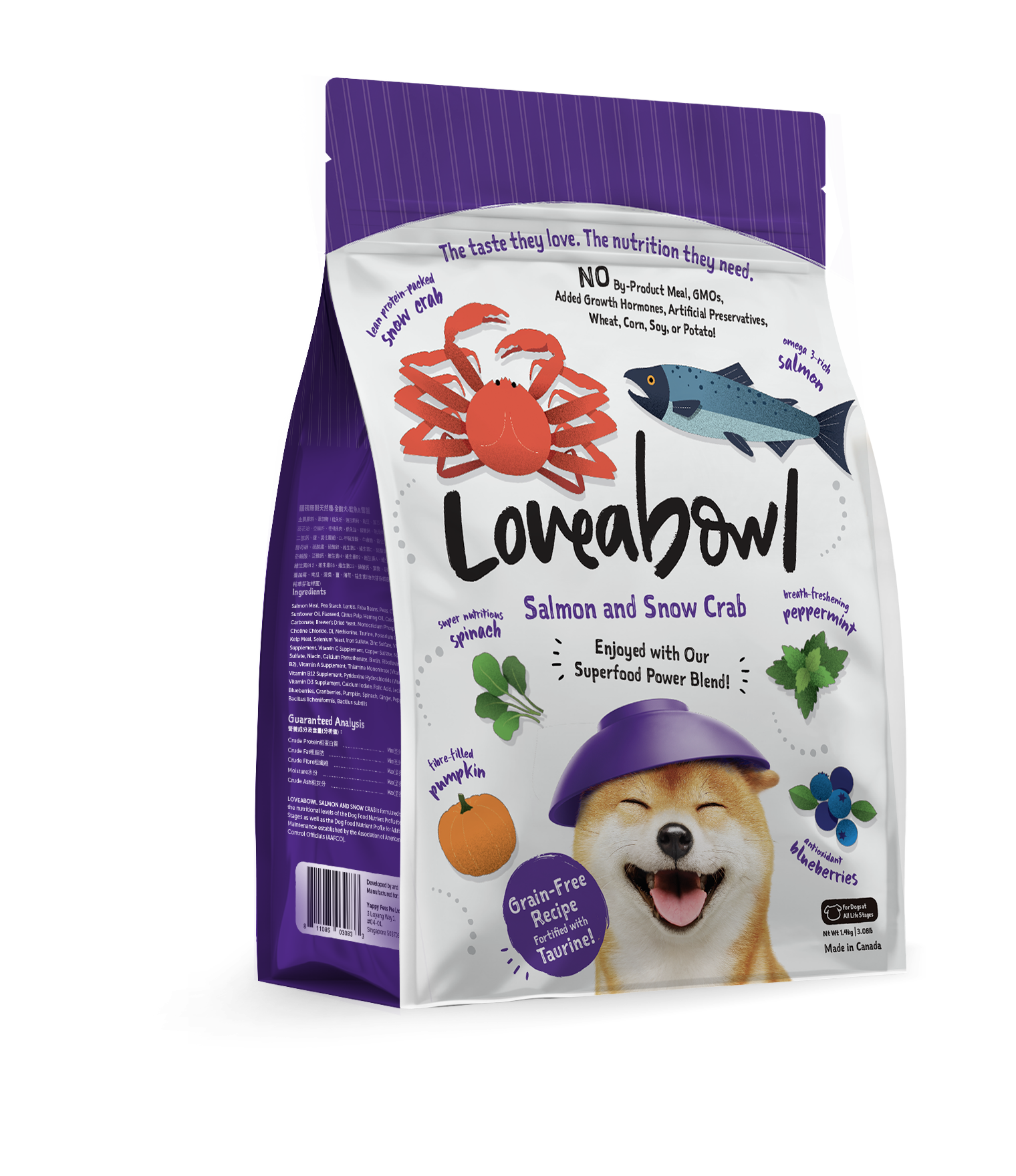 Best Pet Groomer